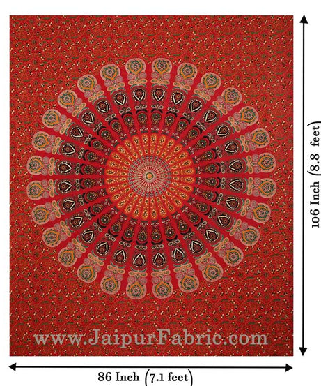 COMBO354 Beautiful Multicolor 2 Bedsheet + 4 Pillow Cover