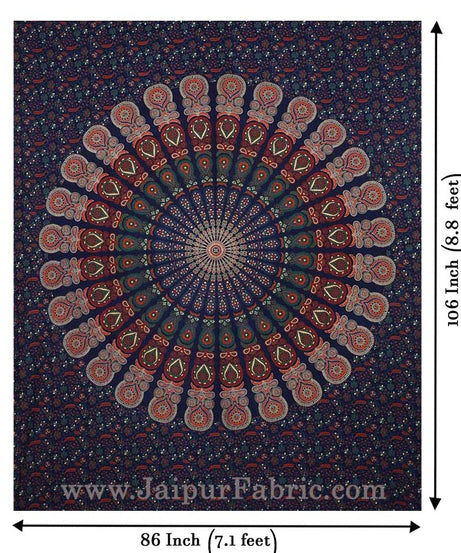 COMBO355 Beautiful Multicolor 2 Bedsheet + 4 Pillow Cover